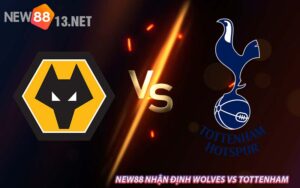 NEW88 Nhận Định Wolves vs Tottenham